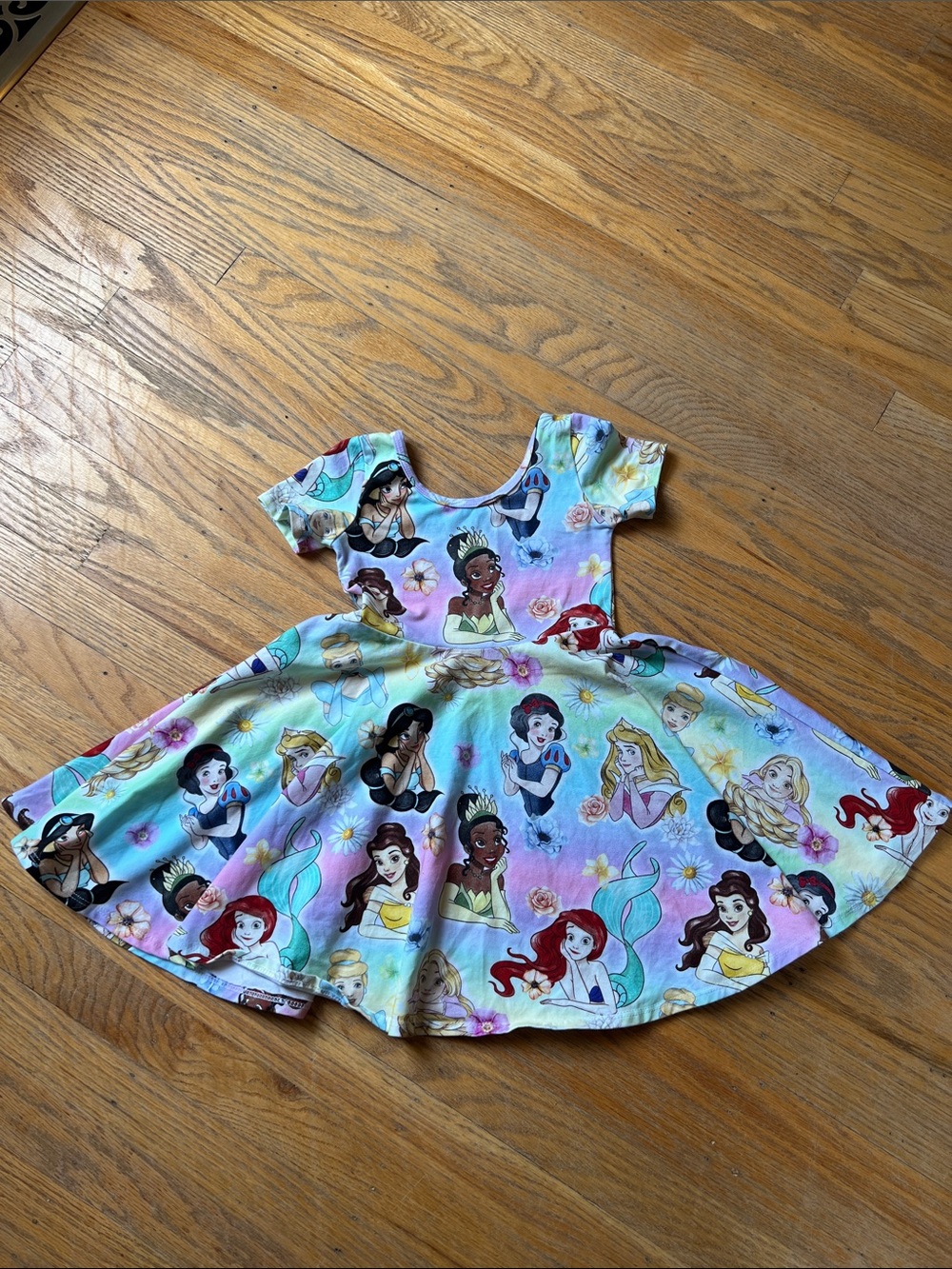 Wild rich kids Girls' Disney Princess Multicolor Twirl Dress